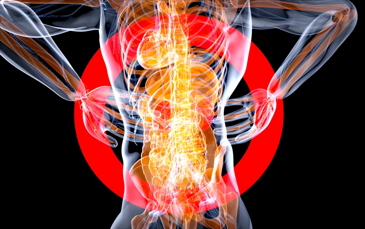 Nutrición para la salud articular
